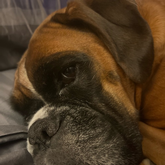 Meet your Posher, Jessica - Picture 10 of 16